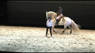 Que Cavalos São Aqueles que Fazem Sombra no Mar Maria de Medeiros Gonçalo Távora Correia [upl. by Etan823]