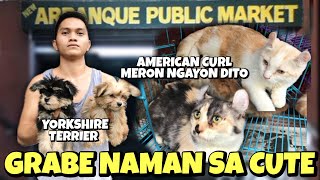 MGA BAGONG PETS SA ARRANQUE UPDATE NATIN  JULY 04 2024 [upl. by Cassy]