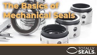 The Basics of Mechanical Seals [upl. by Brunell902]