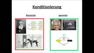 Klassische und operante Konditionierung erklärt [upl. by Finkelstein501]