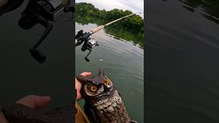 Finding weird stuff floating down the Hiwassee river while catfishing riverfishing [upl. by Nahgeam]