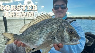 Fishing Forster in Winter  One of the BIGGEST Bream Ive seen [upl. by Allertse649]