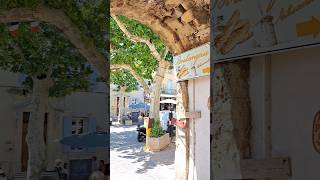 Village Provencal BeaumesdeVenise provence travel france shorts [upl. by Karon792]