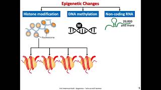 EPIGENETICS IDENTICAL TWINS ARE NOT REALLY IDENTICAL [upl. by Nawat486]