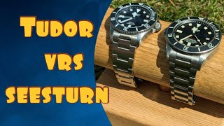 Tudor pelagos and Seestern 39mm pelagos homage shootout [upl. by Izawa]