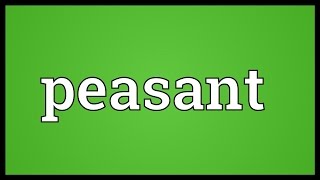 Peasant Meaning [upl. by Zebada231]