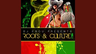 Roots and Culture Mix Vol1 [upl. by Jeannine]