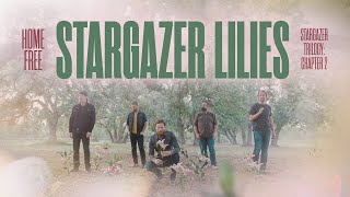 Reacting To Home Free  Stargazer LiliesStargazer trilogyChapter 2 [upl. by Maguire]