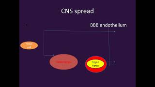 Cryptococcosis PART1Microbiology Lecture [upl. by Dalila514]