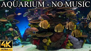 Dream AQUARIUM 4K Underwater Sounds NO Music NO Ads  Fish Tank Underwater Ambience [upl. by Ynnod]