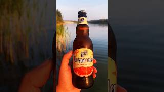 Hoegaarden Grapefruit shorts [upl. by Oak]