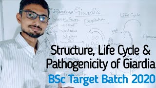 Structure Life Cycle and Pathogenicity of GiardiaZoologyBSc Online BatchRk Sir [upl. by Eimyaj706]