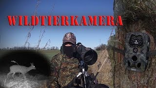 Wildtierkamera aufstellen und Ergebnisse Fuchssuche II 2018 [upl. by Eiger775]