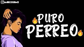 PURO PERREO 9🔥 BRASILERO 2019 MARCOS RMX [upl. by Linzy]