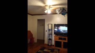 Balloons dance with ceiling fan [upl. by Nat]