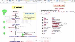 Glycolysis  Simple Tricks to Remember HINDI GPATNIPER Pharmacist DI Examination [upl. by Marion999]