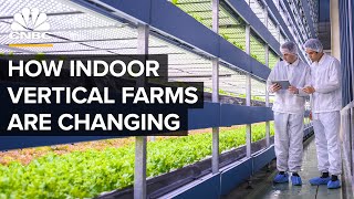 Why Vertical Farms Are Moving Beyond Leafy Greens [upl. by Way793]