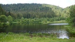 Nationalpark SchwarzwaldVon Baiersbronn zum Sankenbachsee [upl. by Seto731]