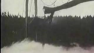 Tacoma Narrows Bridge Disaster [upl. by Enaud]