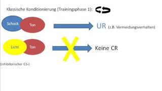 Konditionierte Inhibition  Hemmung Klassische Konditionierung [upl. by Thamora352]