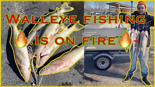 Walleye Fishing Maumee River Walleye Run [upl. by Reisinger]