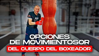 COMBINACIONES DE PERCUSIÓN Opciones de movimientos del cuerpo del boxeador [upl. by Annaek232]