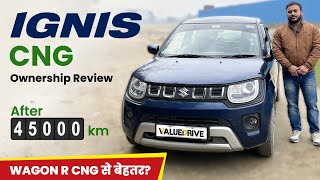 Maruti Ignis CNG Ownership Review [upl. by Jelene711]