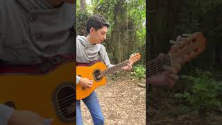 Folckor Paraguayo Pájaro Campana 🎸❤️ [upl. by Anselme]