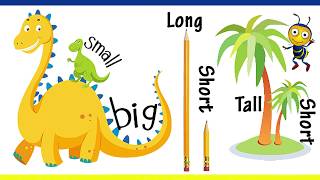 Big And Small For Kids And Children  Comparison for Kids  Learn PreSchool Concepts [upl. by Chapman]