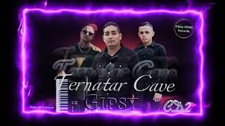 Gipsy Ternatar Cave CD 2  Sestra rano vola COVER 2024 [upl. by Sadiras]