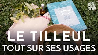 Tilleul tout sur ses usages [upl. by Batruk]