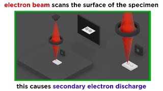 Electron Microscopy TEM and SEM [upl. by Harley195]