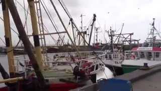 Newlyn Harbour 2014 [upl. by Nezah]