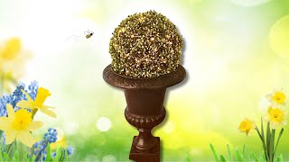 DIY Topiary Ball [upl. by Duston393]