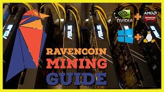 How To Mine Ravencoin  Ultimate Mining Guide  Windows  Linux  Nvidia  AMD [upl. by Neerehs]