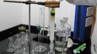 Isolation of Plant Pigments by Column Chromatography  Amrita University [upl. by Darahs]