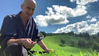 Zazen mit Schafherde beim LasalleHaus [upl. by Yrram]