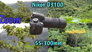 Video Nikon D3100 55300mm Zoom lens [upl. by Morissa646]