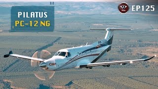 Monomotor com Jeito de Jatinho Conheça o Pilatus PC12 NG [upl. by Euqenimod]