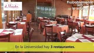 Alimentación Javeriana  Probablemente no lo sabías [upl. by Daus]