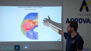 Introdução ao estudo do CRÂNIO  Generalidades e Base do CRÂNIO  AULA 5 [upl. by Festus]
