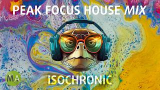 Peak Focus For Complex Tasks House Turtle Mix with Isochronic Tones [upl. by Nnylanna151]