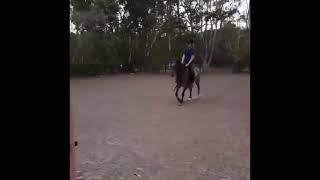 First time jumping 50cm on my pony Check description [upl. by Rollins]