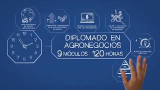 Diplomado en Agronegocios  Tecnológico de Monterrey [upl. by Leckie]