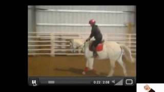 Horse Riding Lessons  Online [upl. by Afesoj]