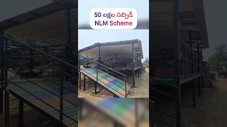 nlm scheme 50 lakh subsidy veterinarian [upl. by Arabella903]