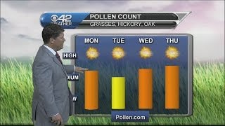 Pollen Forecast 55 [upl. by Reniti]