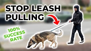 The easiest way to stop leash pulling [upl. by Susana37]