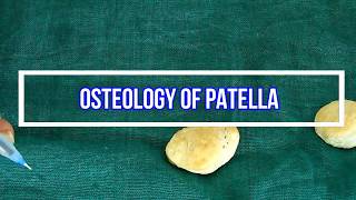 Osteology Of Patella [upl. by Llevad980]