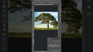 Channel masking photoshop Channel masking in Photoshop photoshop shorts short [upl. by Lluj483]